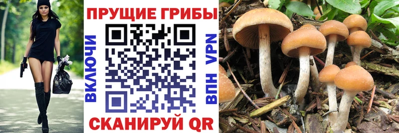Псилоцибиновые грибы Magic Shrooms  Кудымкар 