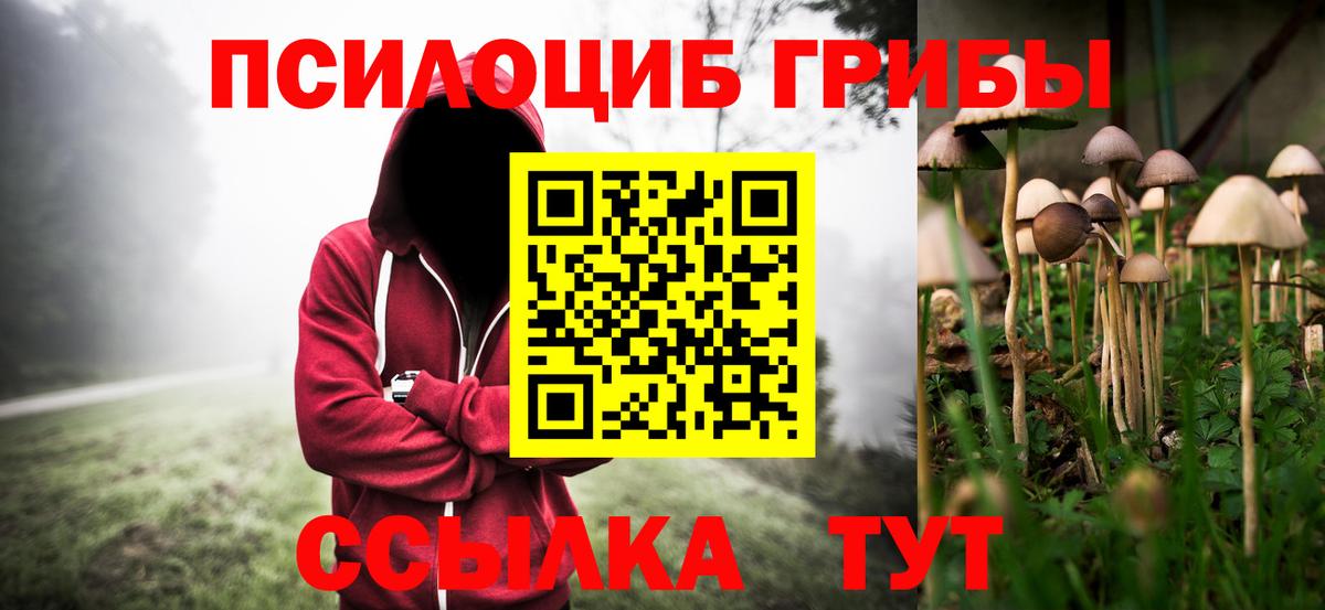 Кудымкар  Псилоцибиновые грибы Magic Shrooms  Вход с VPN 