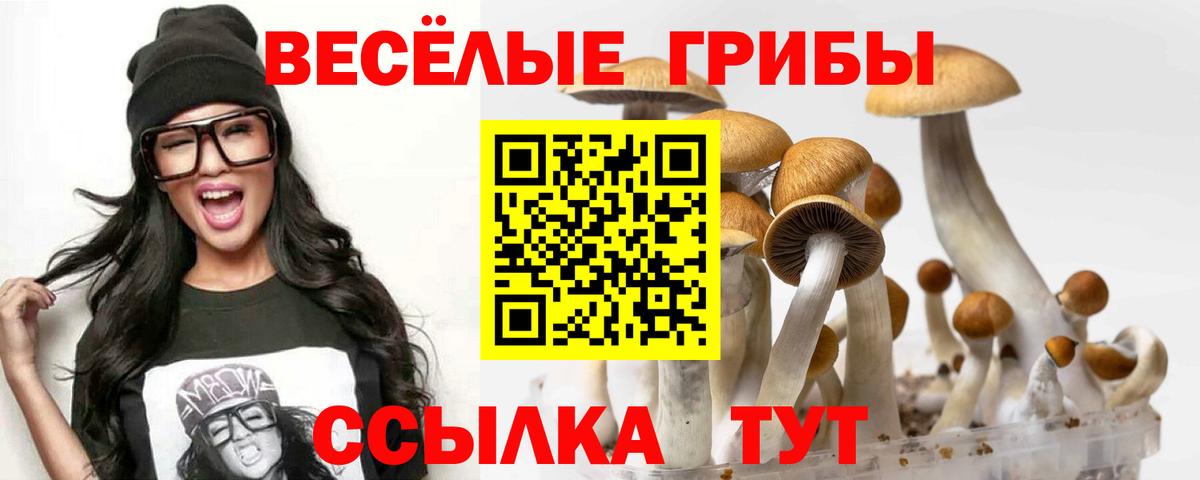 Псилоцибиновые грибы MAGIC MUSHROOMS  Галлюциногенные грибы Psilocybe  Кудымкар 