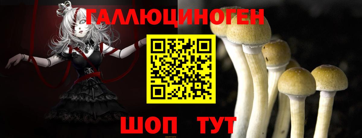 Псилоцибиновые грибы ЛСД Кудымкар